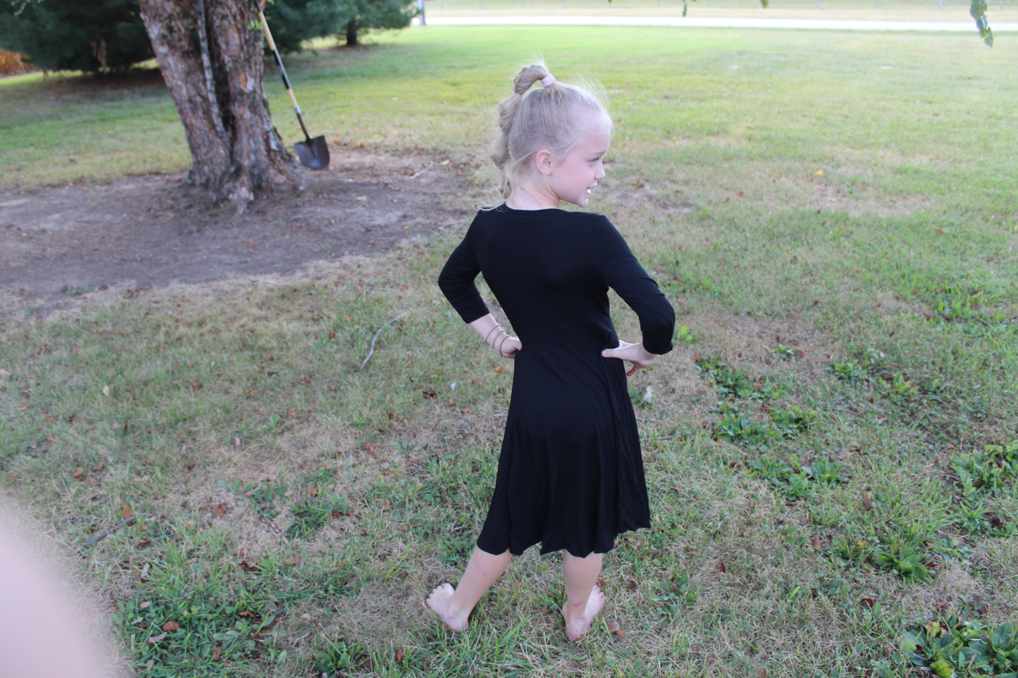 Black Princess Seam ALine Dress